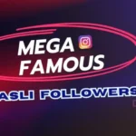 MegaFamous Website Review for Instagram Growth