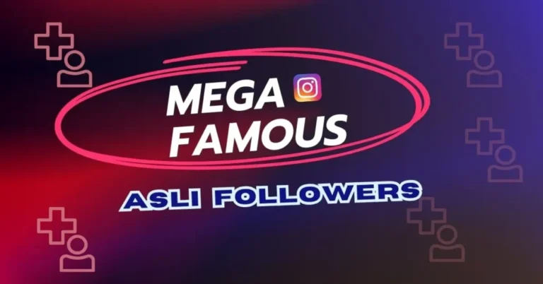 MegaFamous Website Review for Instagram Growth